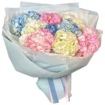 9 разноцветных гортензий