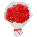 Букет из 15 красных гипсофил