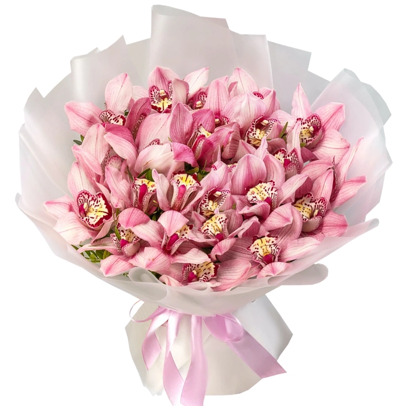 Букет из 25 розовых орхидей