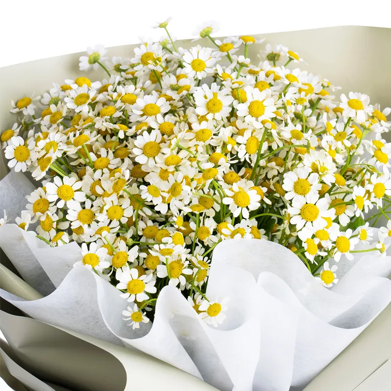 Букет Танец жизель