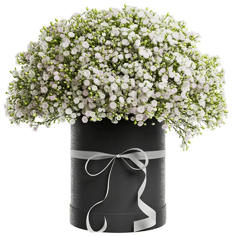 Цветы в коробке Жемчужина дуная